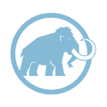 Demo-Logo